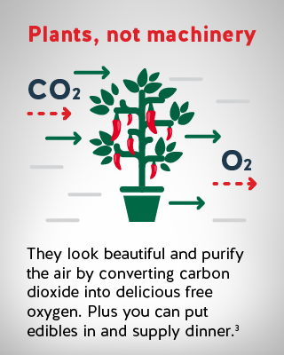 Plants, not machinery...